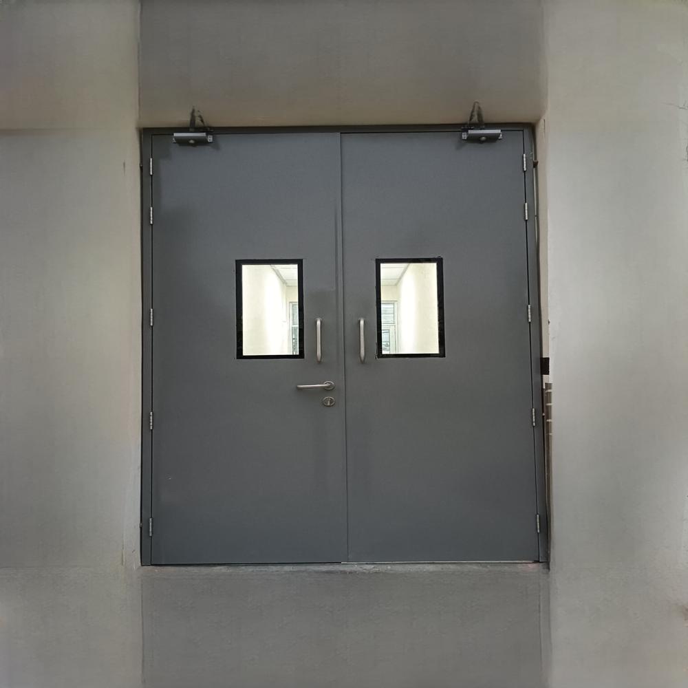 Acoustic Double Door - Size: As Per Requirement