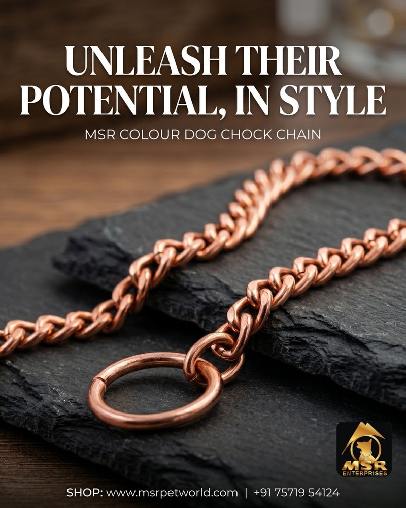 Dog Chain Choke Rose Gold