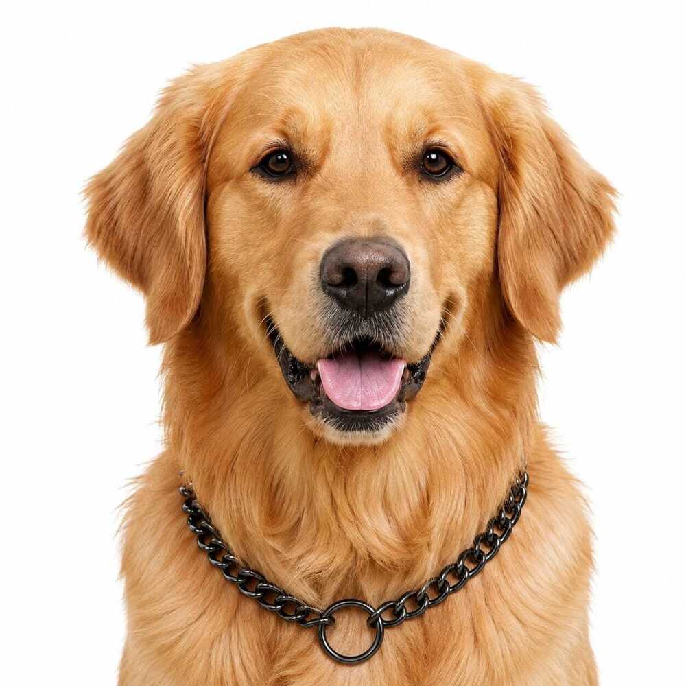 Dog Chain Choke Color Black