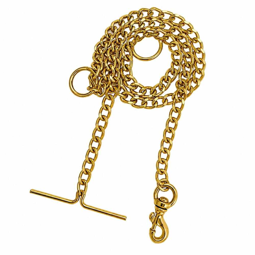 Dog Chain Color