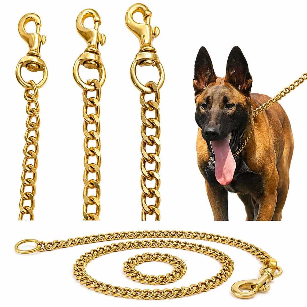 Dog Chain Color