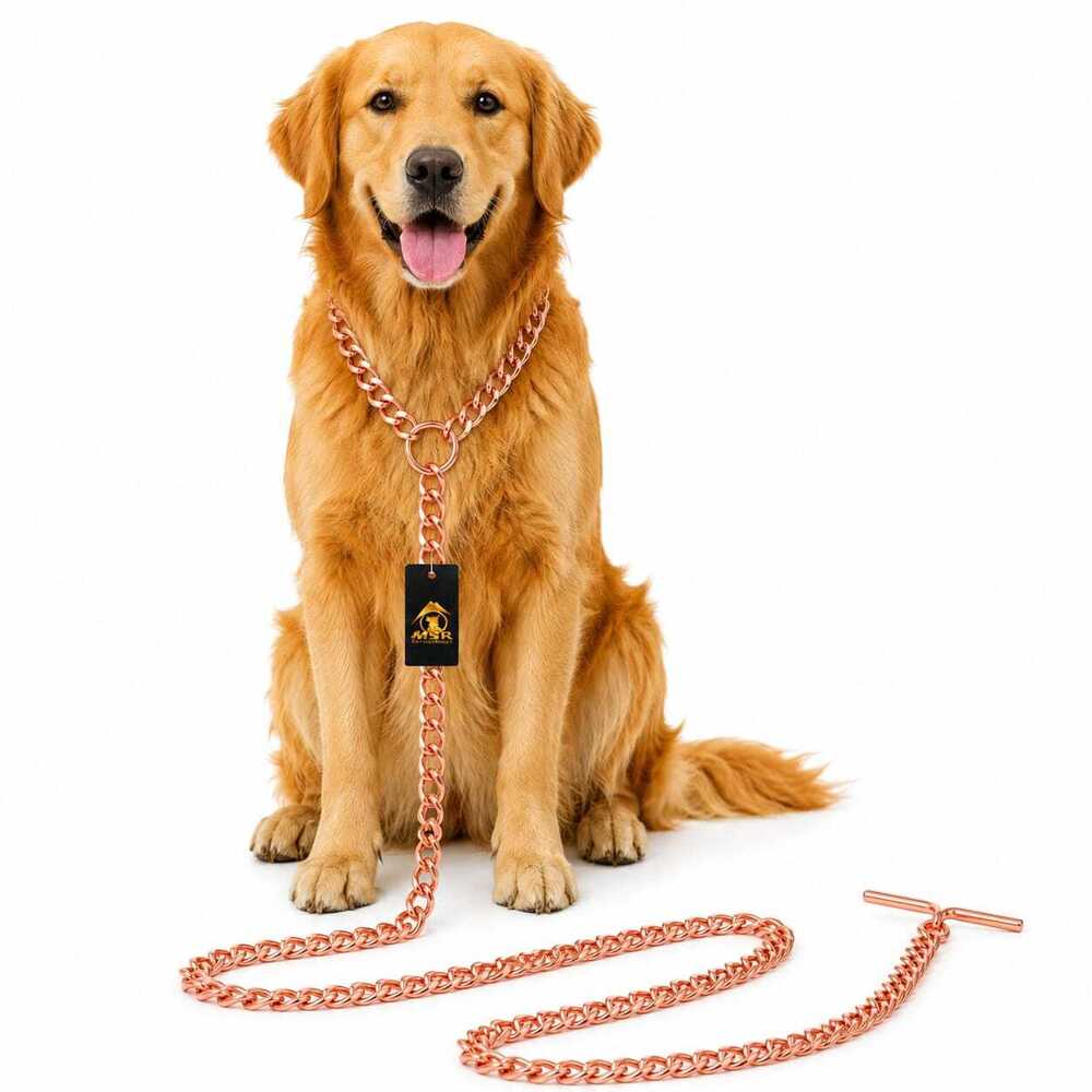 Dog Chain & Brass Hook Rose Gold