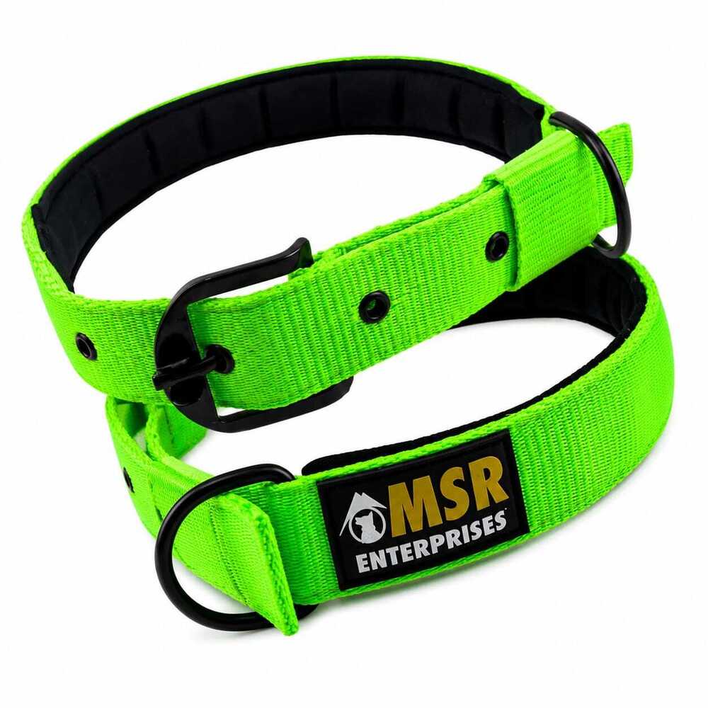 Dog Collar Padded