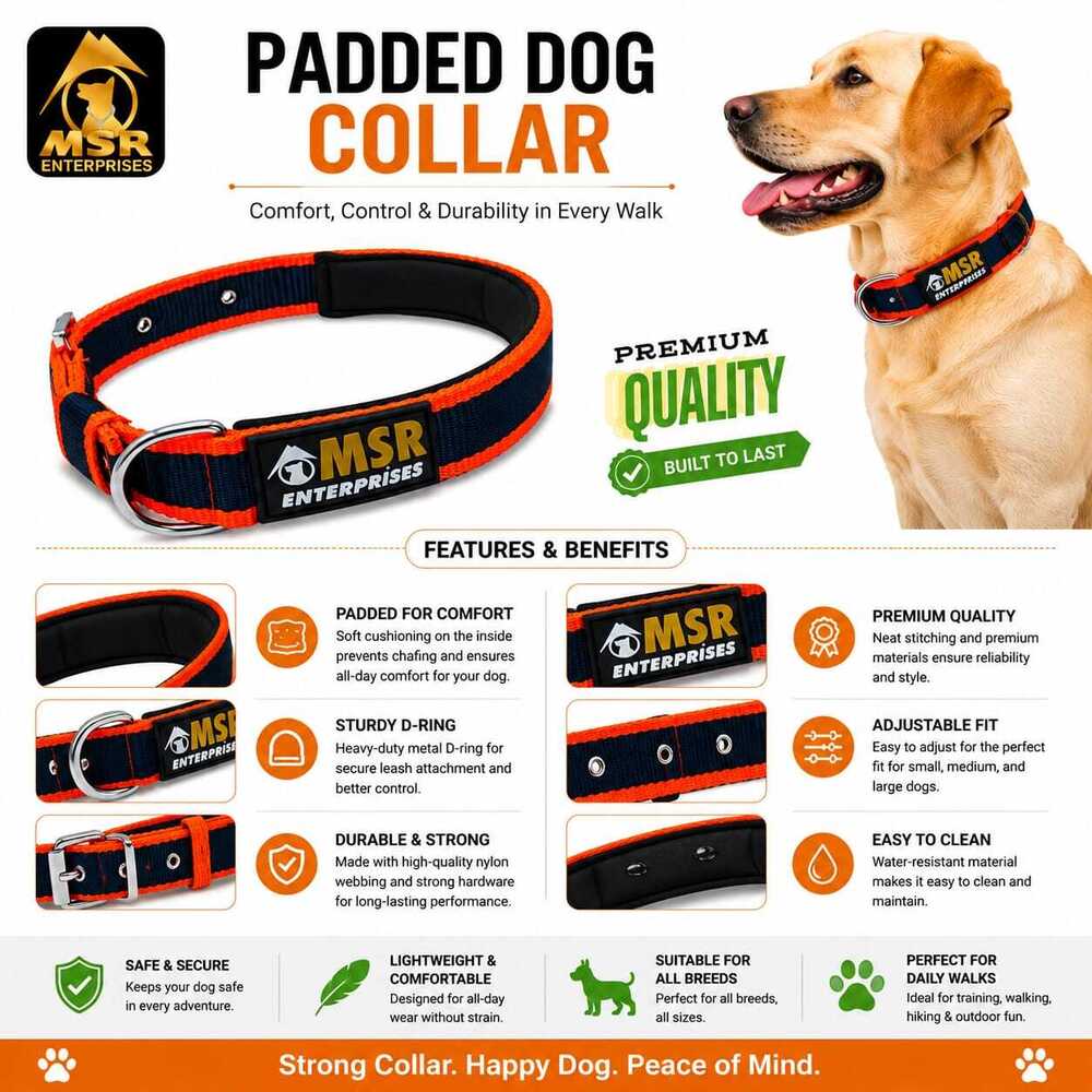 Dog Collar Padded