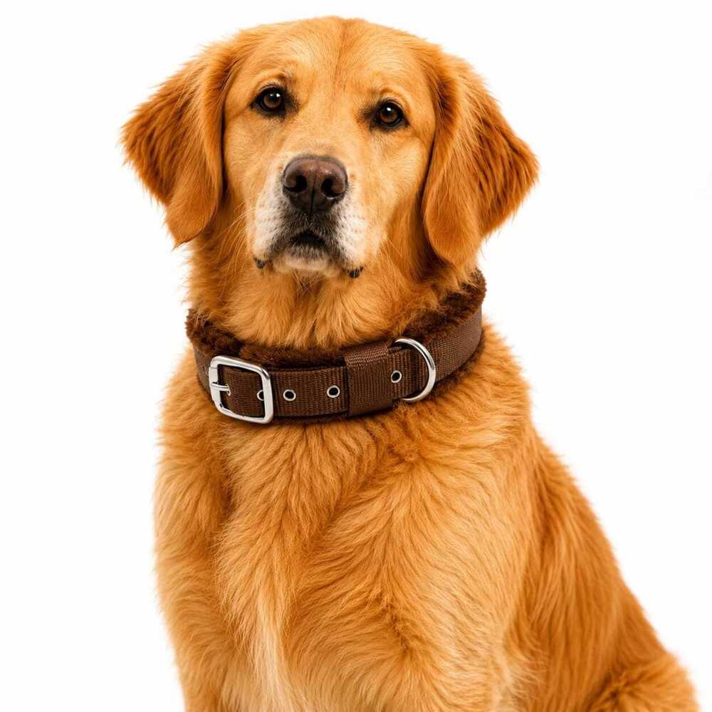 Dog Collar Buckle Double Layer Furr