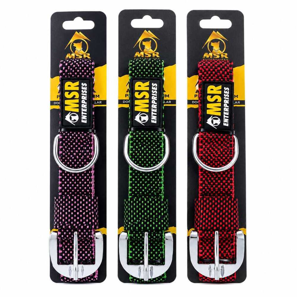 Dog Collar  Dotted