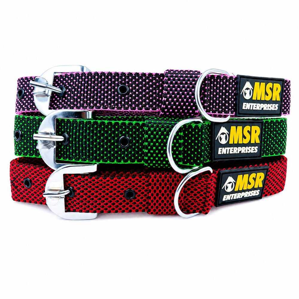 Dog Collar  Dotted