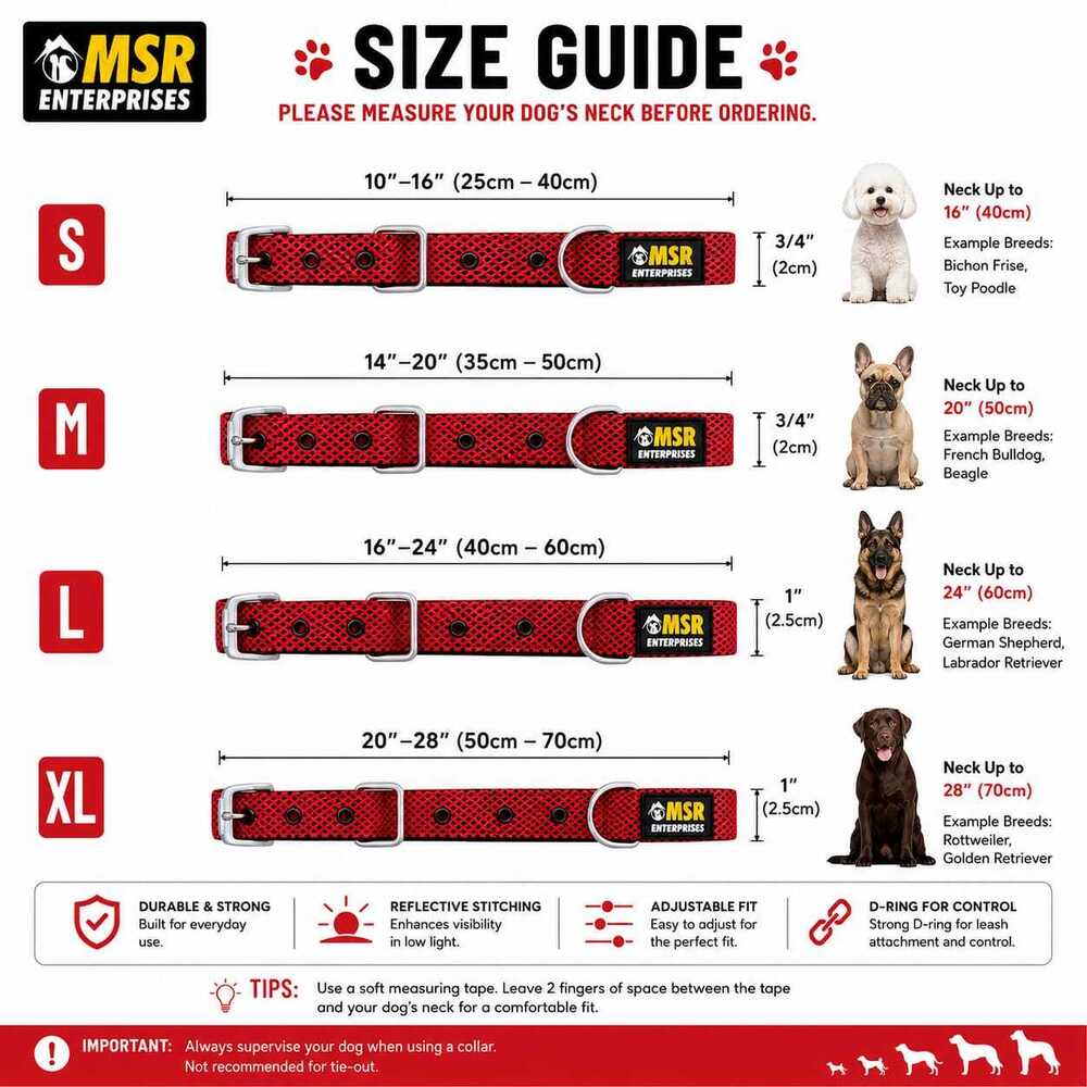 Dotted Dog Collar With Sr Clip / Buckle - High-quality Nylon, Adjustable Sizes For All Breeds, Soft Padding, Durable & Weather-resistant