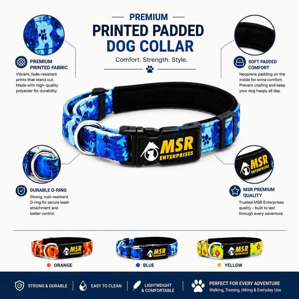 Dog Collar Printed Padded