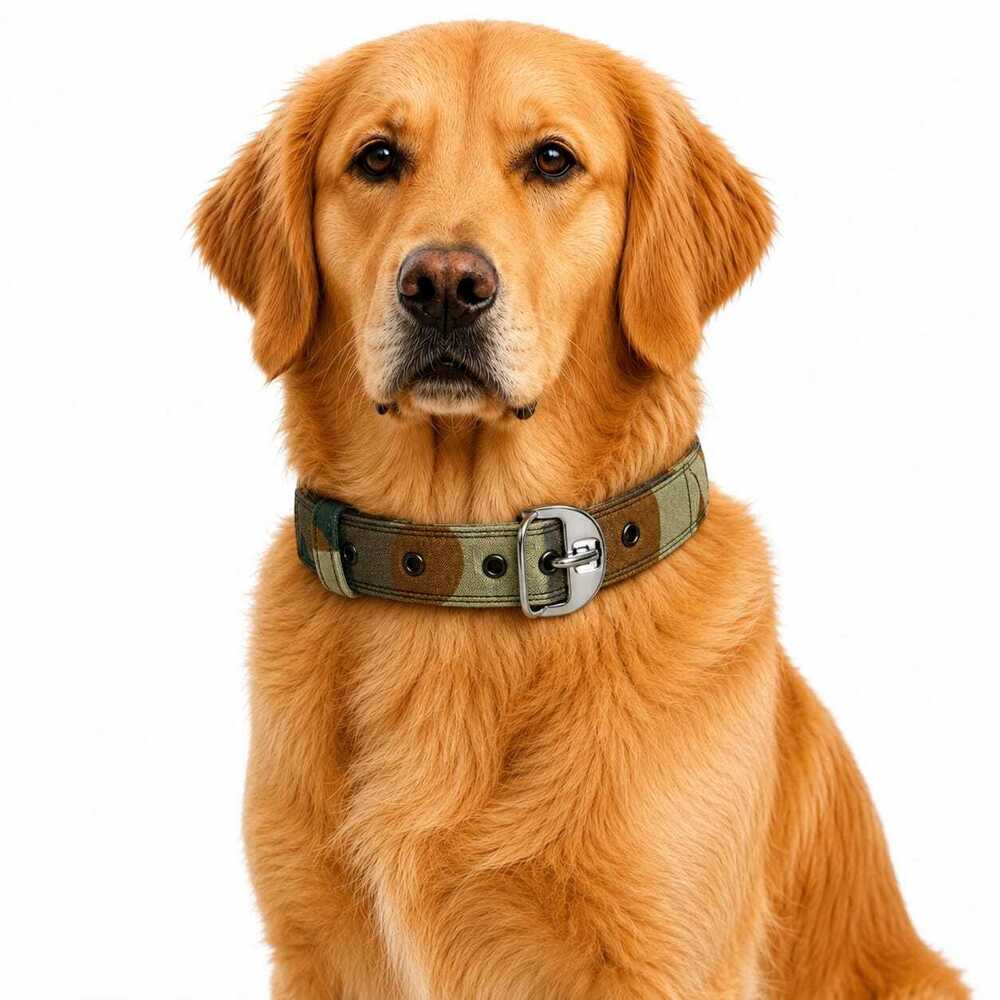 Dog Collar Army Pattern