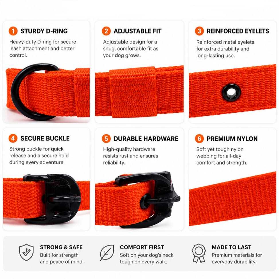 Dog Collar & Buckle