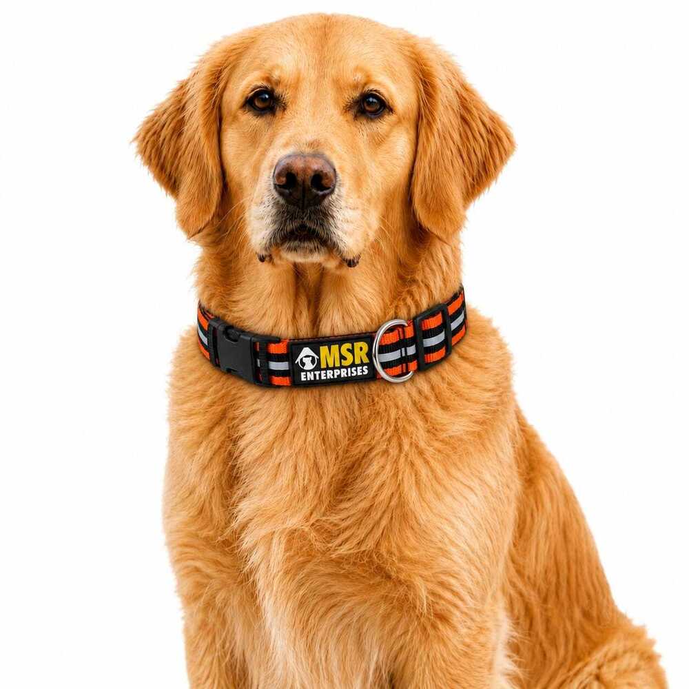 Dog Collar Adjustable Reflective