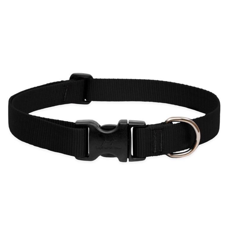 Dog Collar & Adjustable