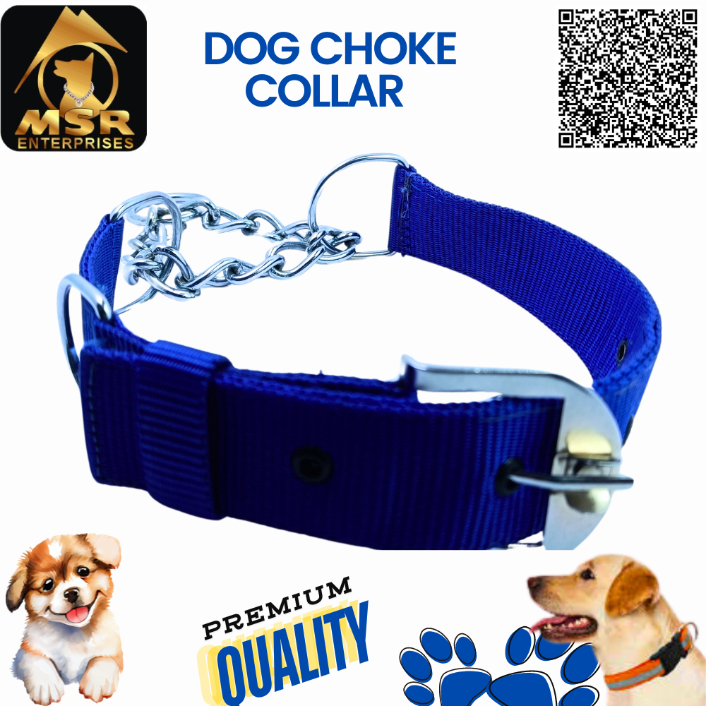 Dog Collar & Choke Buckle Collar
