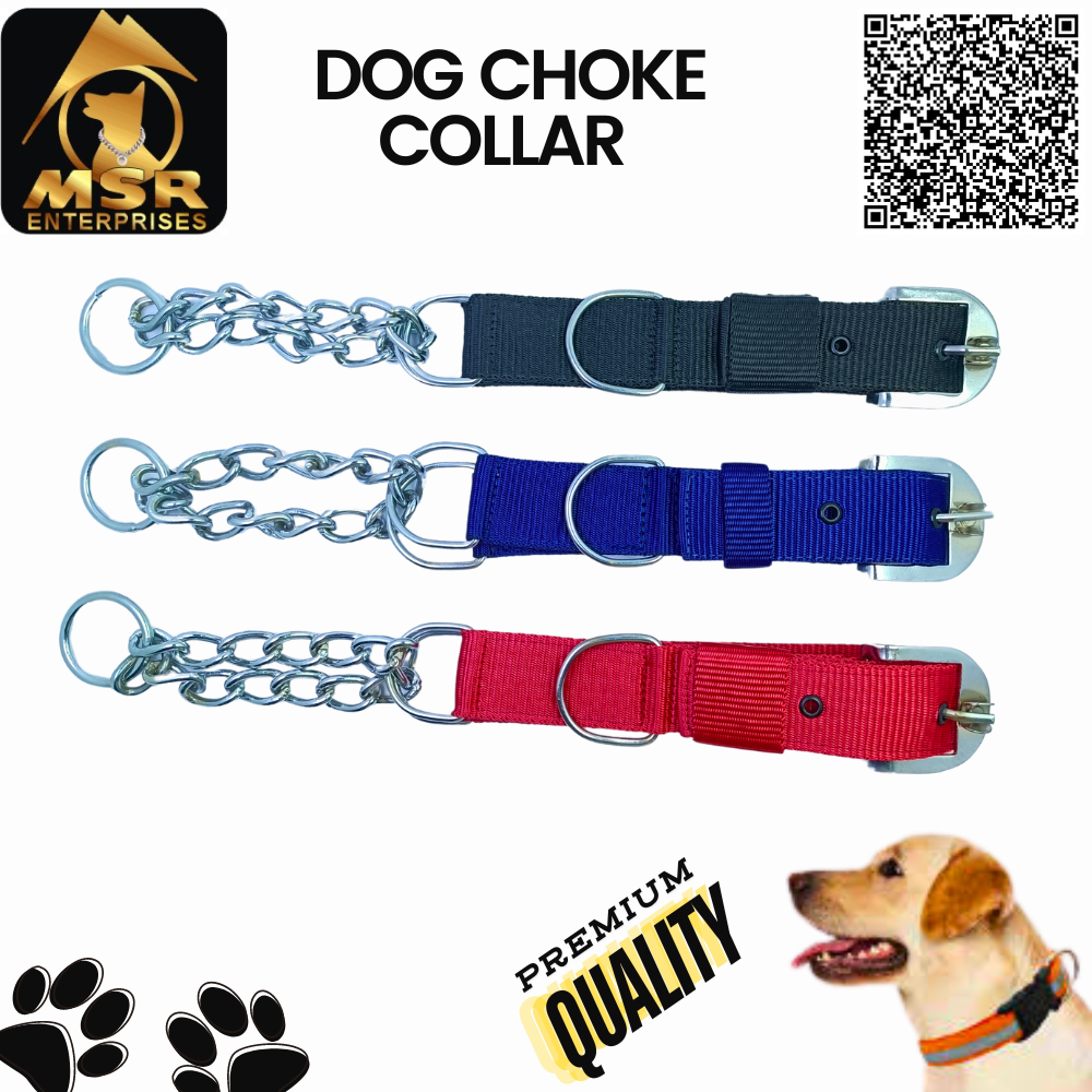 Dog Collar & Choke Buckle Collar