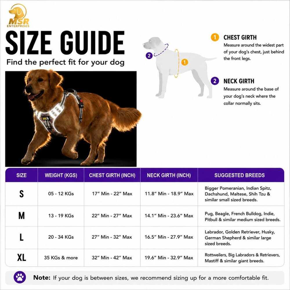 Dog Harness Double Chest Reflective