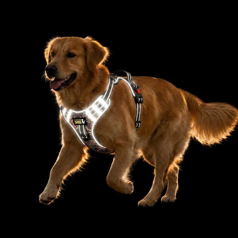 Dog Harness Double Chest Reflective