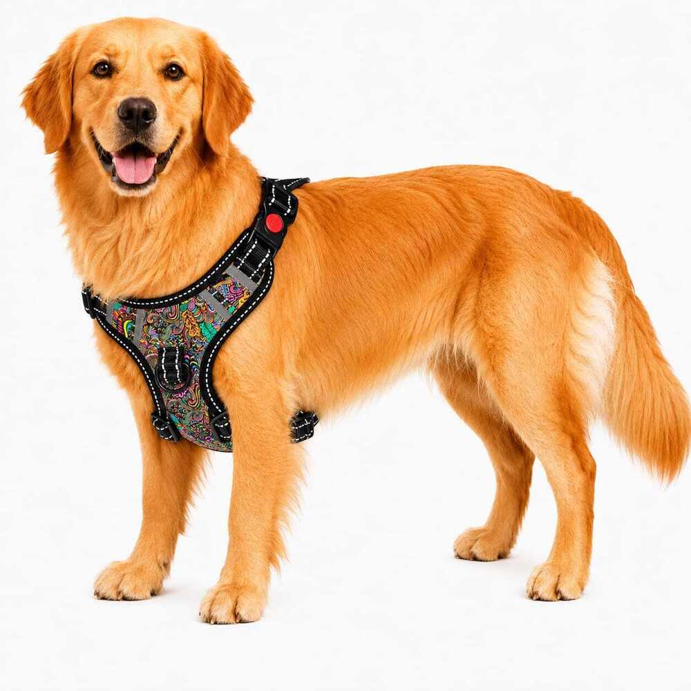 Dog Harness Double Chest Reflective