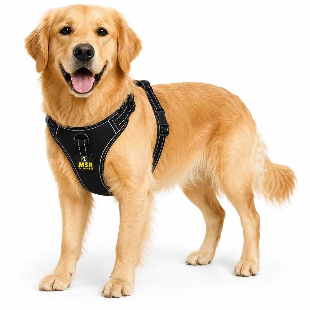 Dog Harness Chest Single Layer Dog