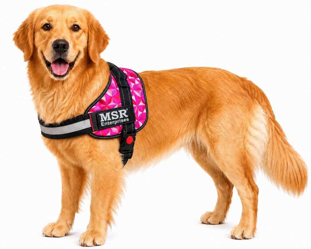 DOG HARNESS REFLECTIVE PRINTED