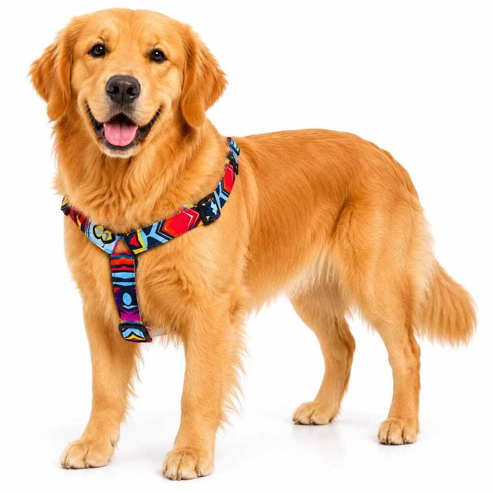 Dog Harness & Printed Padded