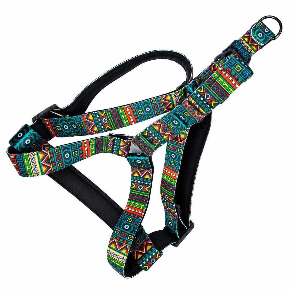 Dog Harness & Printed Padded