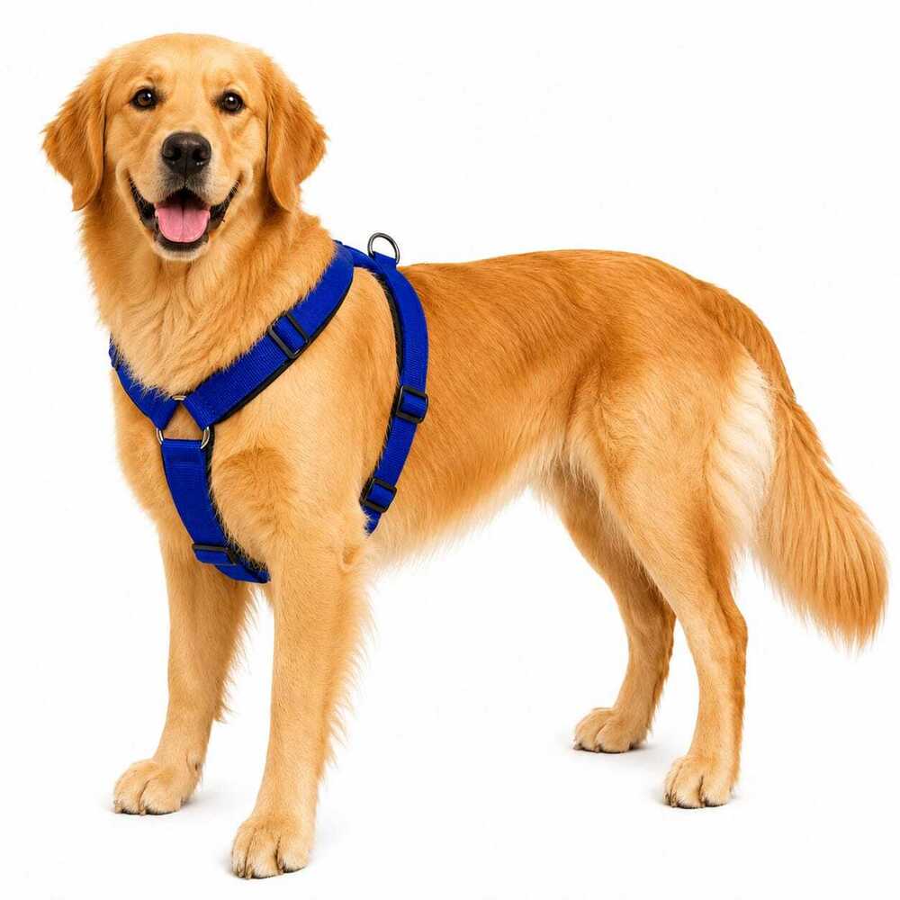 Dog Harness Padded Body Belt