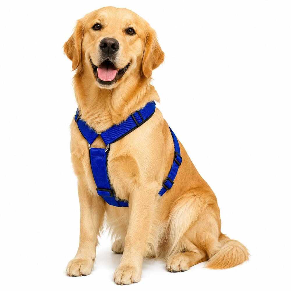 Dog Harness Padded Body Belt