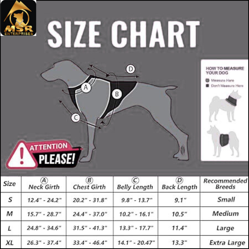 Dog Harness
