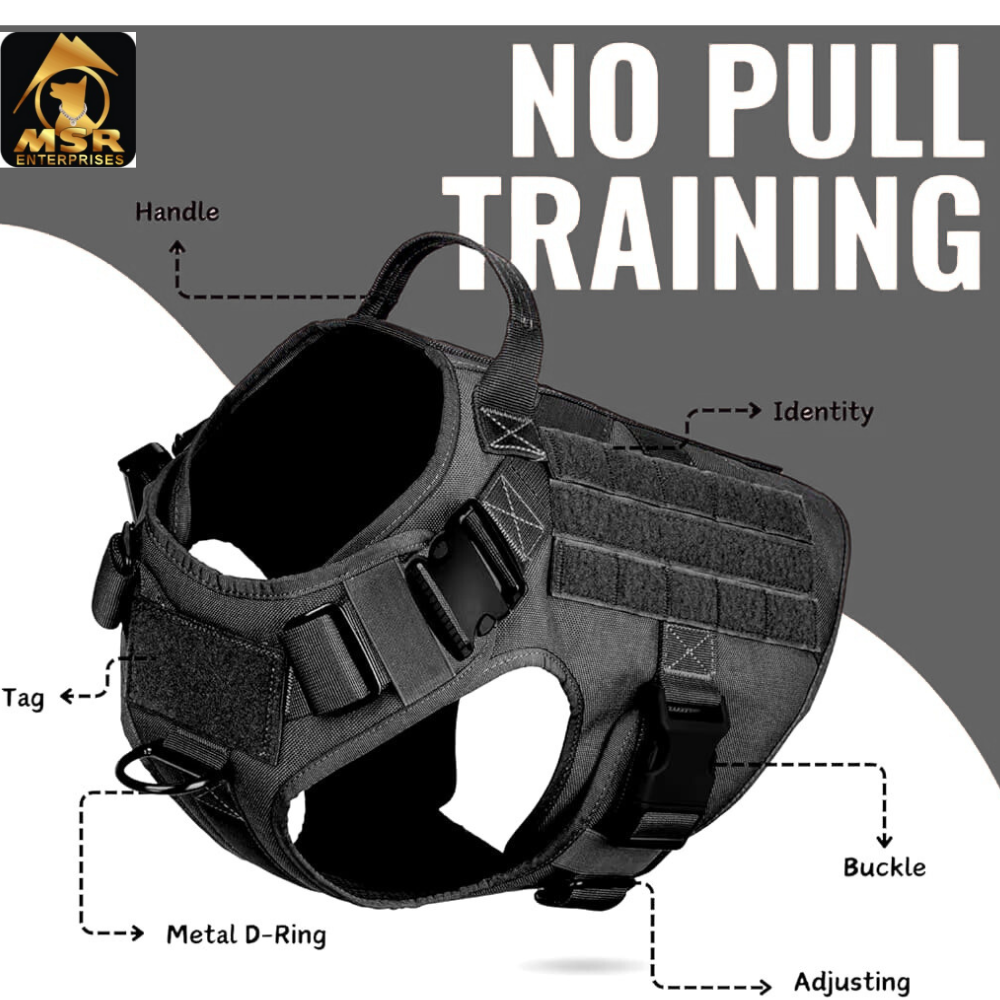 Dog Harness