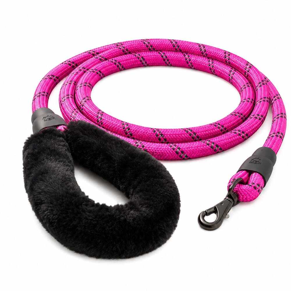 Dog Leash & Rope