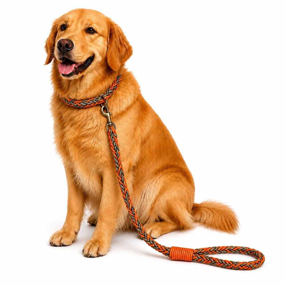 Dog Leash & Thread Lead