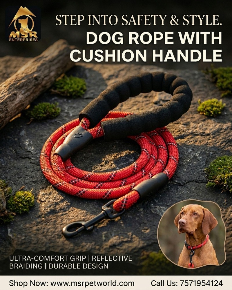 Dog Leash Rope