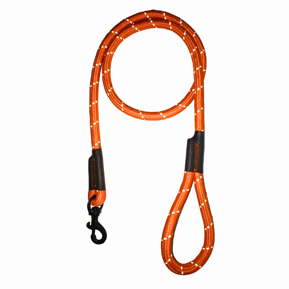 Dog Leash & Rope Zig-zag
