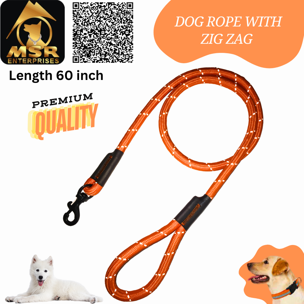 Dog Leash & Rope Zig-zag