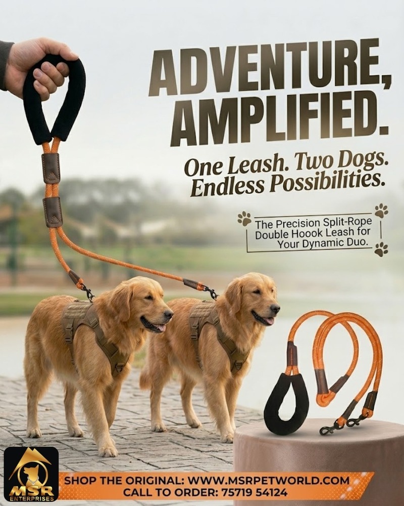 Dog Leash & Rope Double Hook