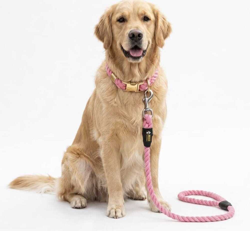 Dog Leash & Cotton Soft Rope Polyester