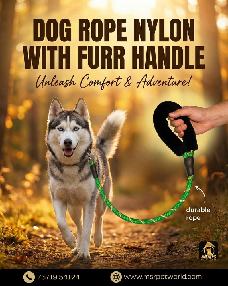 Dog Leash Rope Color Hook