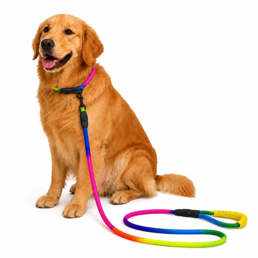 Dog Leash Rainbow Rope