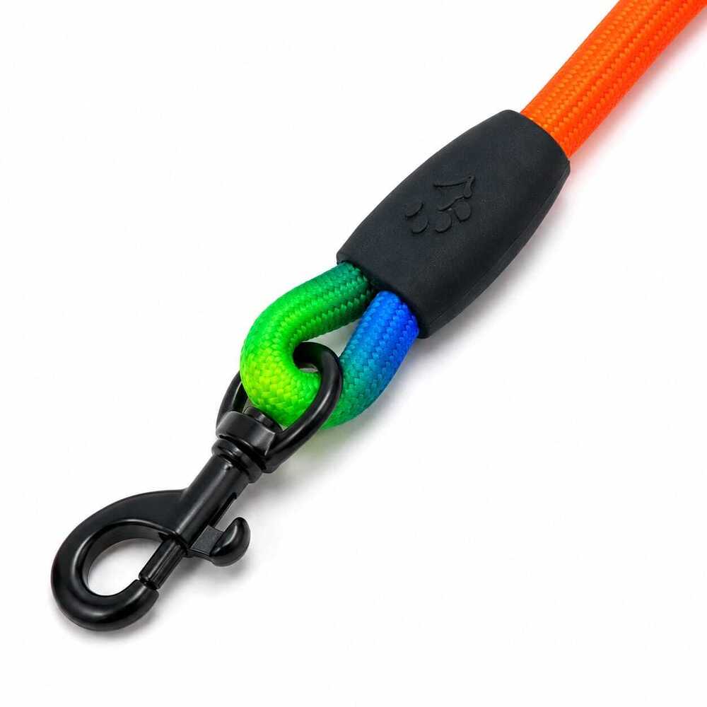 Dog Leash Rainbow Rope