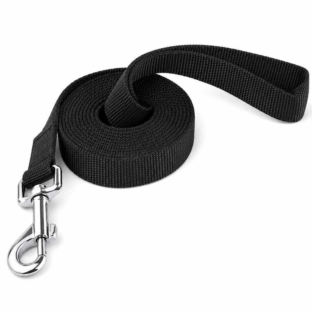 Dog Collar & Leash