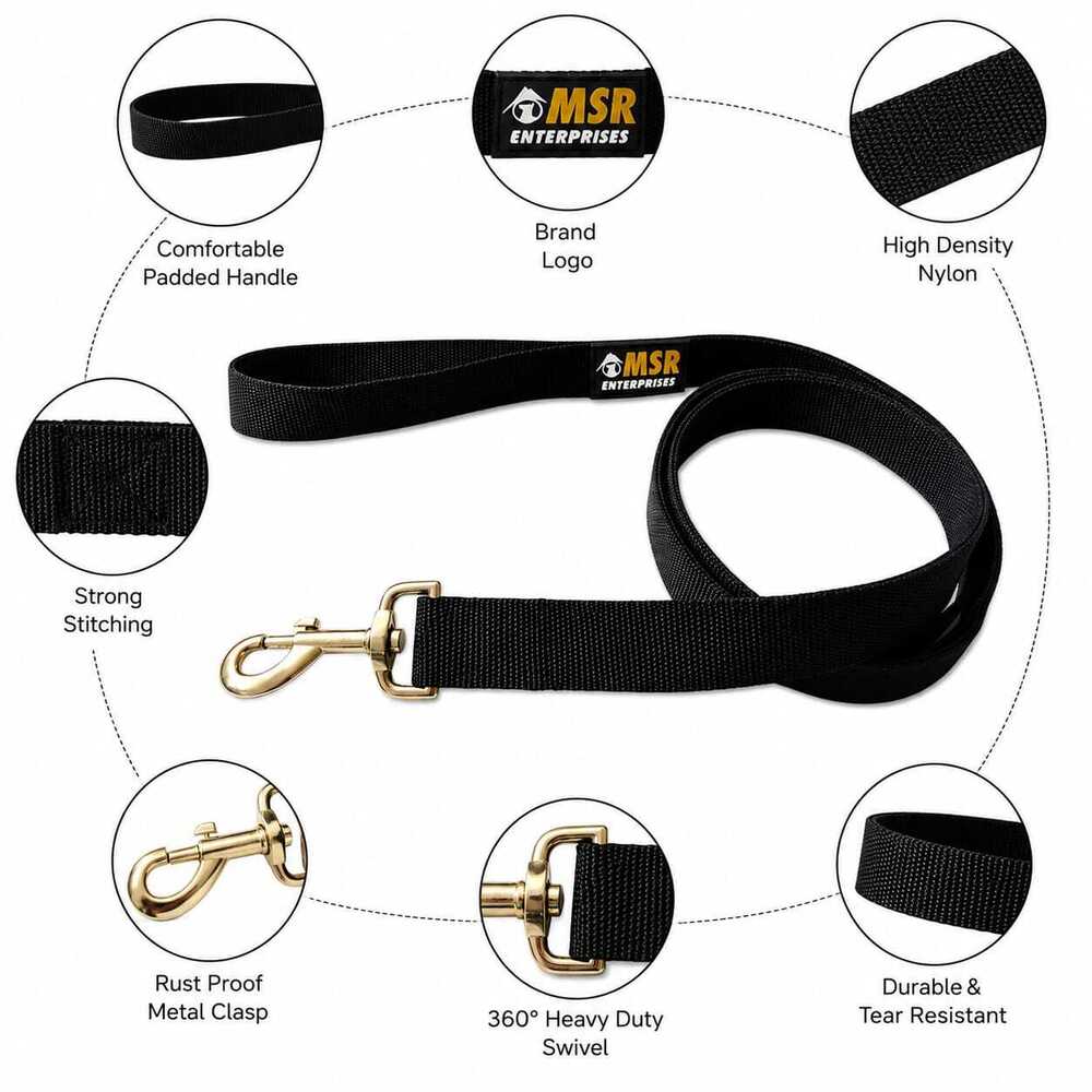 Dog Collar & Leash