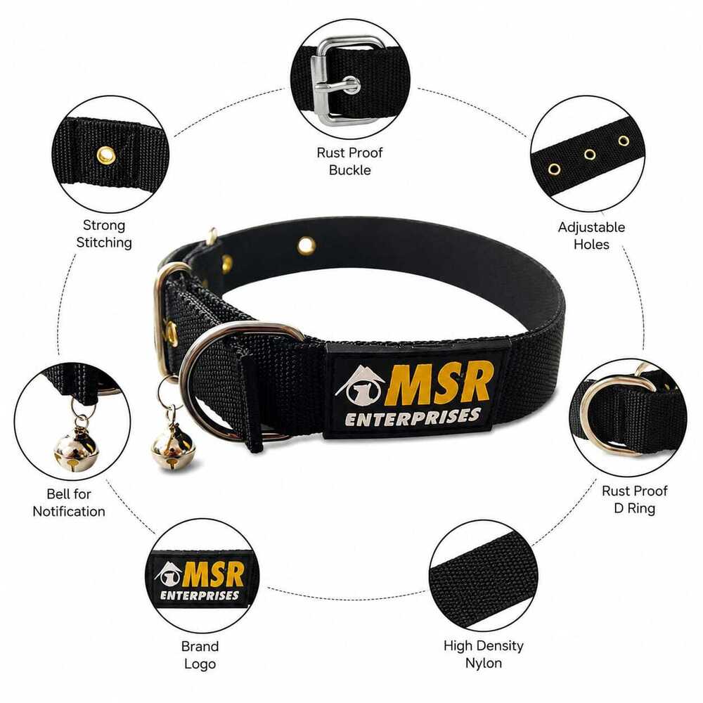 Dog Collar & Leash