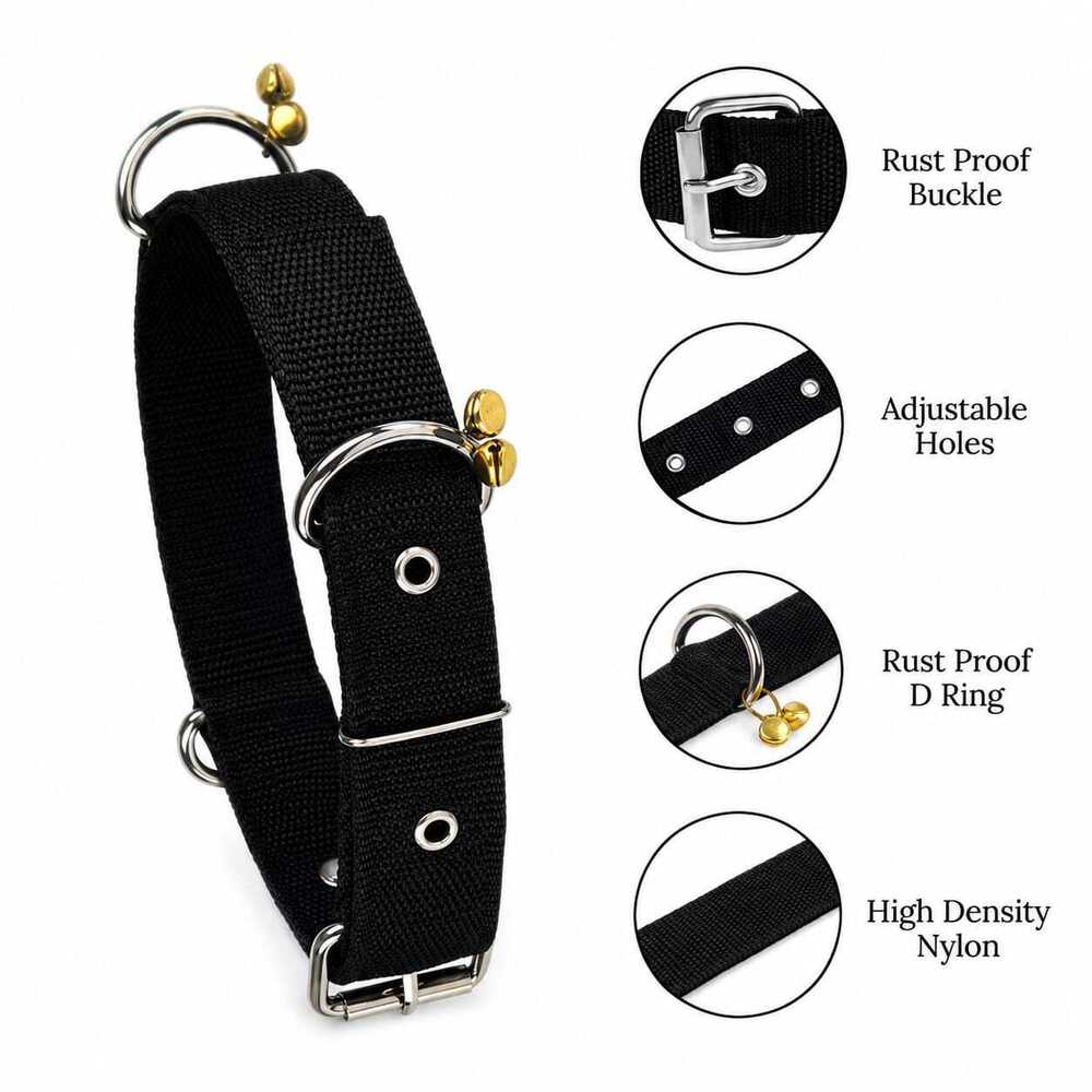 Dog Collar & Leash