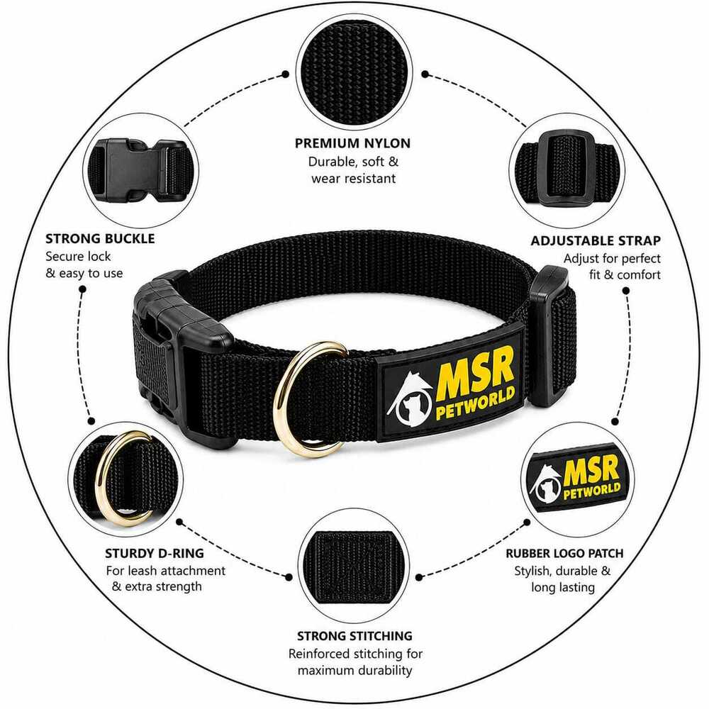 Dog Chain Leash & Half Rope