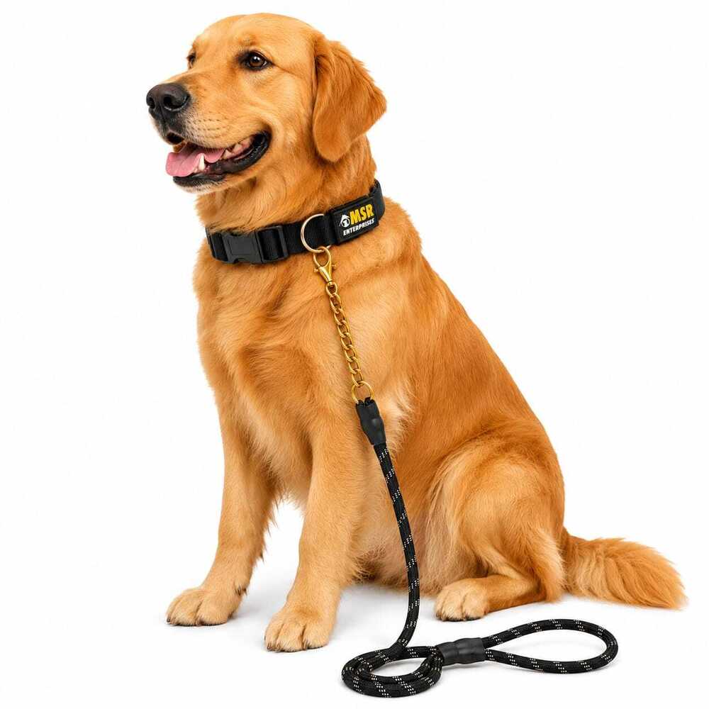 Dog Chain Leash & Half Rope