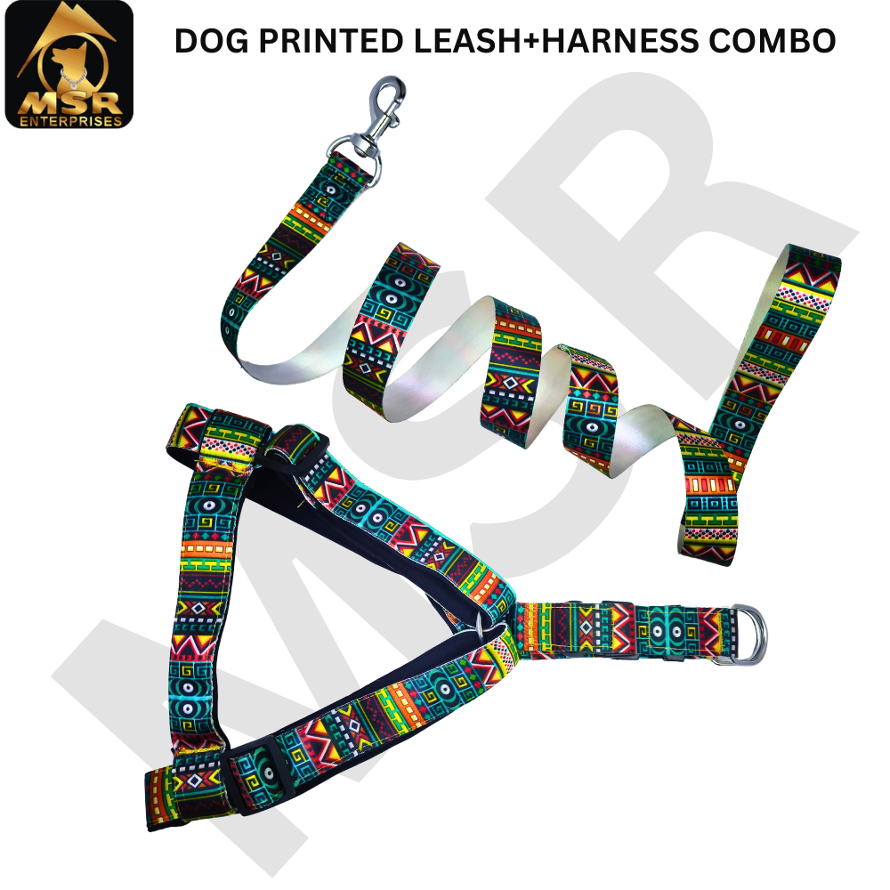 Dog Leash & Harness Bodybelt Printed