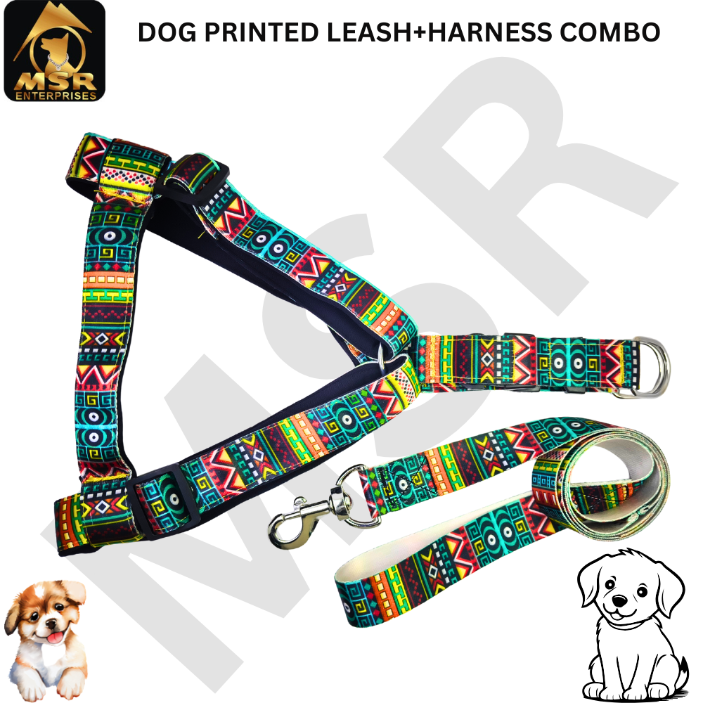Dog Leash & Harness Bodybelt Printed