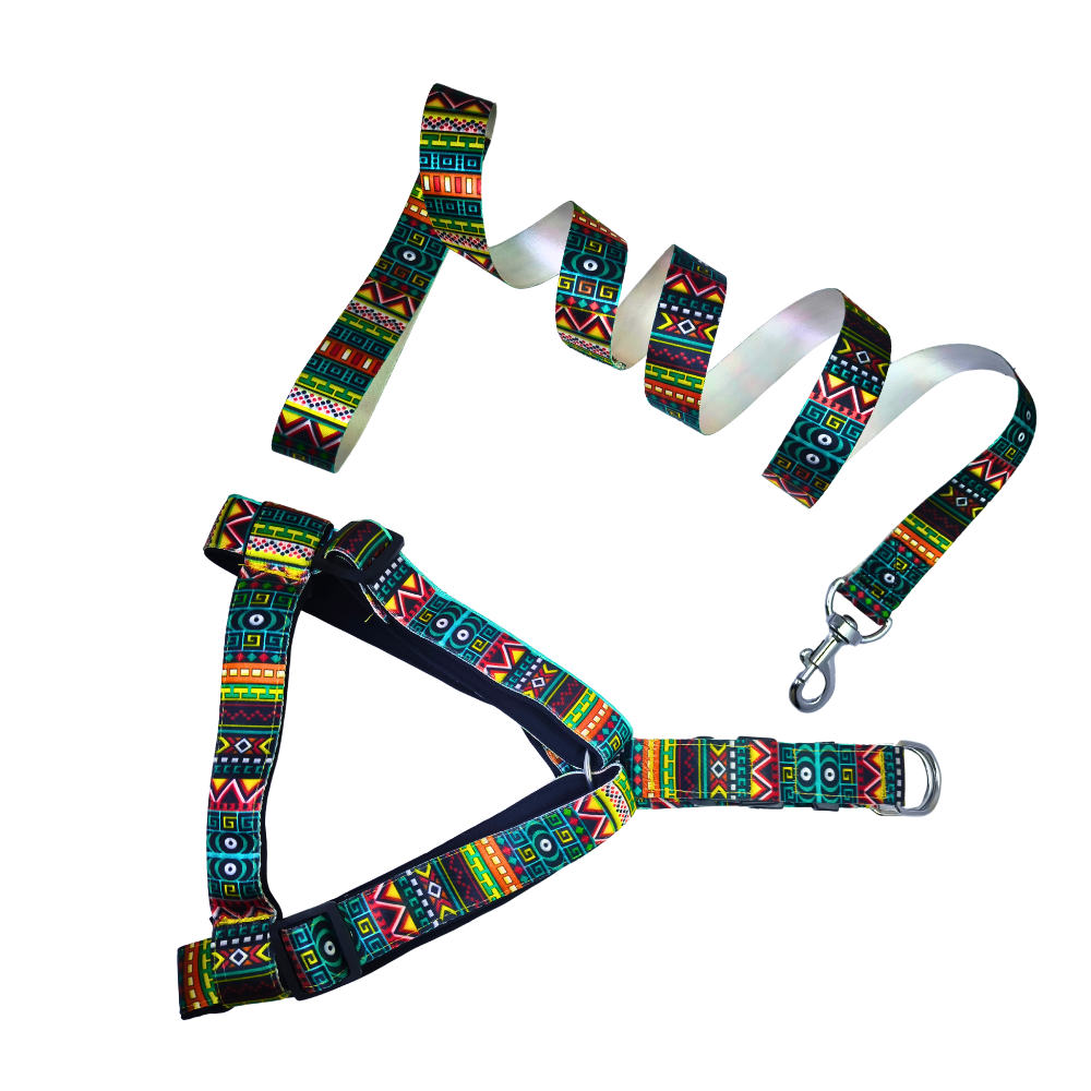 Dog Leash & Harness Bodybelt Printed