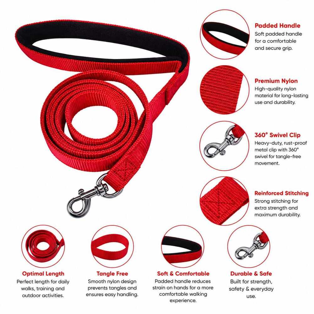 Dog Leash /collar/Harness Bodaybelt Set